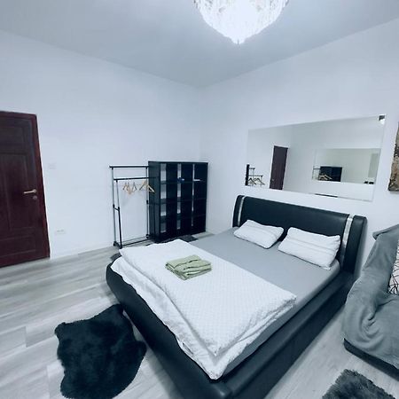 Piata Libertatii Apartament 1 Room ティミショアラ エクステリア 写真