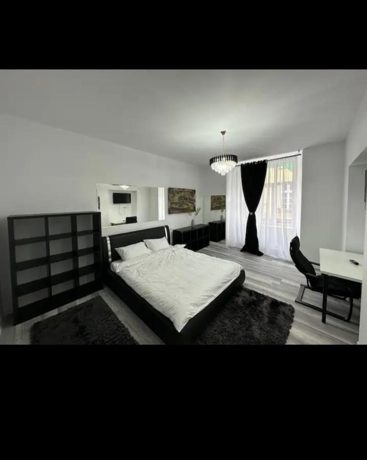 Piata Libertatii Apartament 1 Room ティミショアラ エクステリア 写真