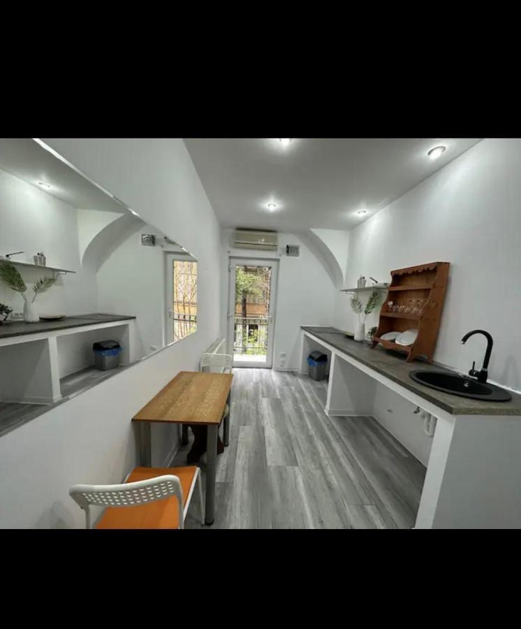 Piata Libertatii Apartament 1 Room ティミショアラ エクステリア 写真
