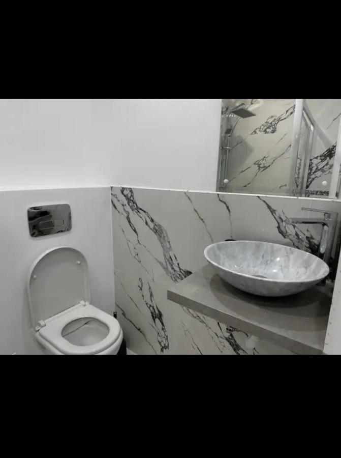 Piata Libertatii Apartament 1 Room ティミショアラ エクステリア 写真