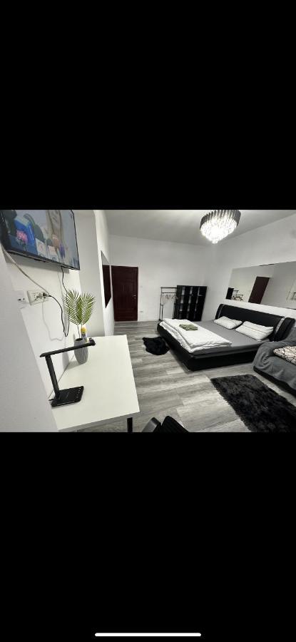 Piata Libertatii Apartament 1 Room ティミショアラ エクステリア 写真