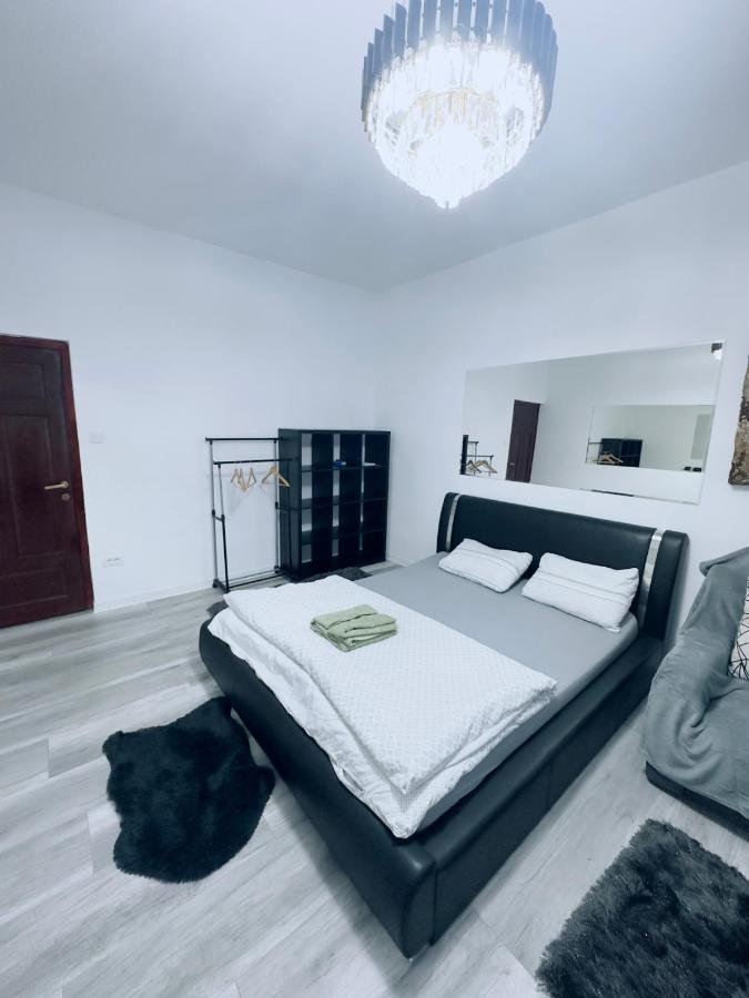 Piata Libertatii Apartament 1 Room ティミショアラ エクステリア 写真